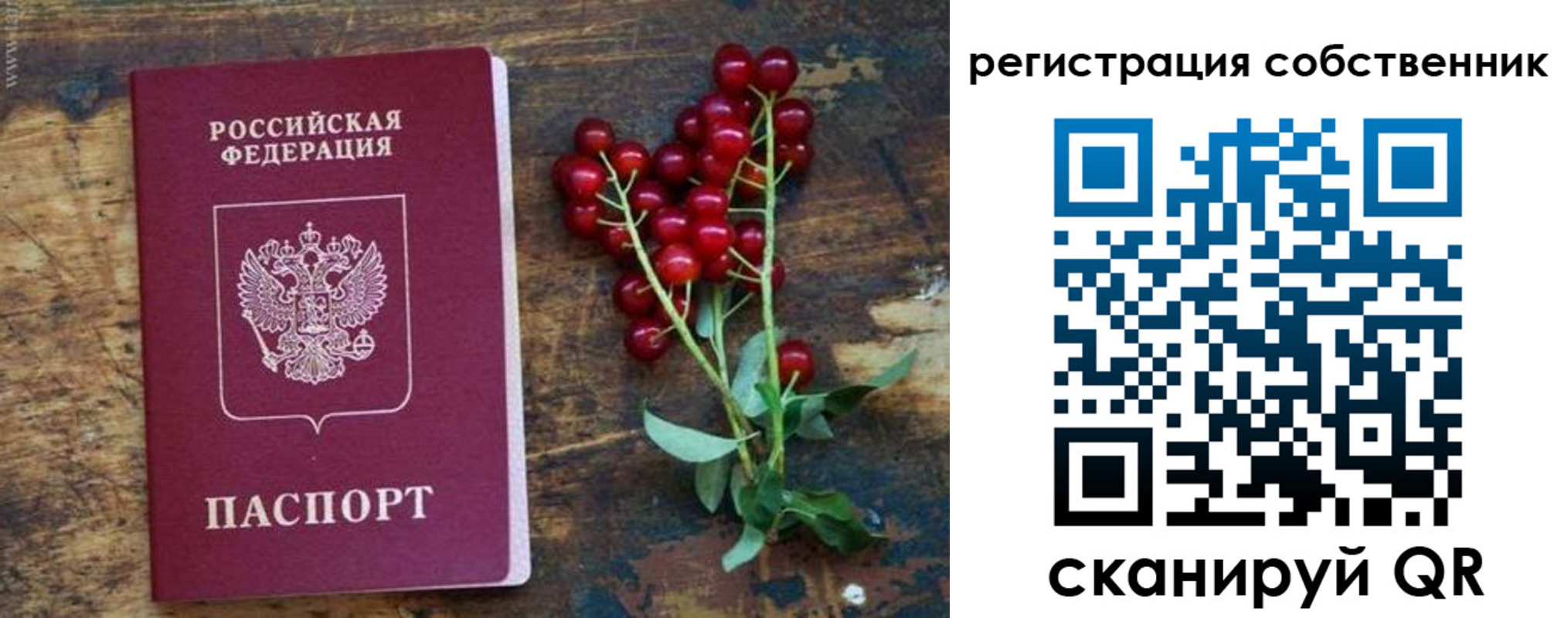 регистрация для дет. сада в Отрадном